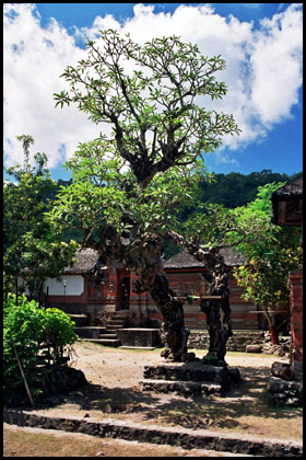 Bali-Aga-Dorf Tenganan