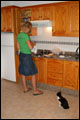 Täglicher Katzenbesuch in der Küche