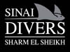 Link zu den Sinai Divers