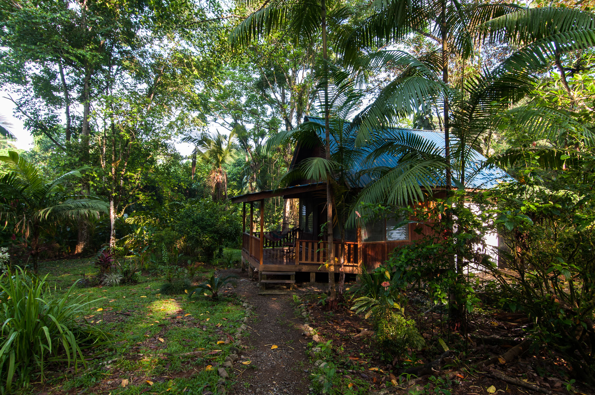 Playa San Josecito, Golfo Dulce Lodge