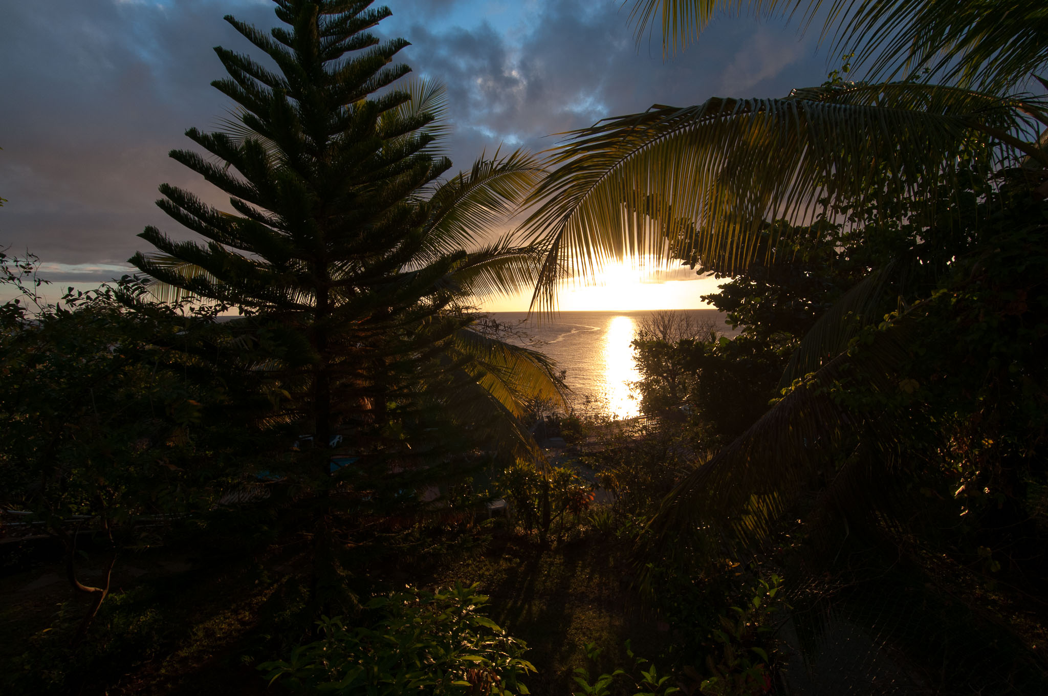 Dominica - Letzter Tag + Rückreise nach Guadeloupe