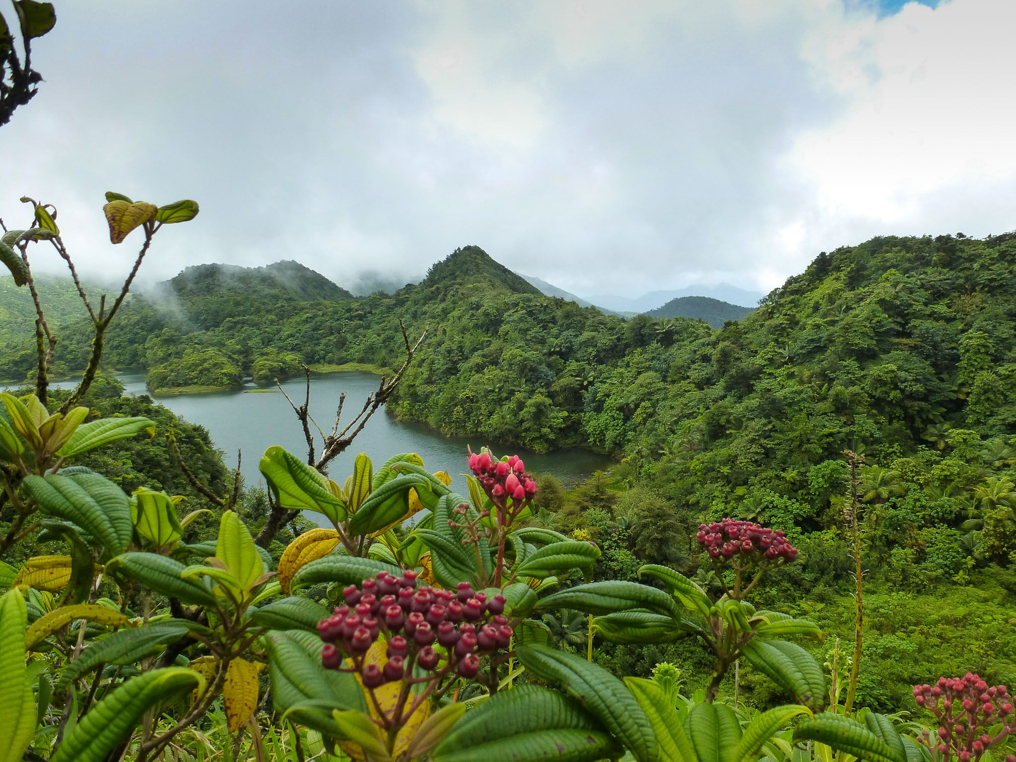 Dominica - Roseau Valley - "Middleham Fall" / "Freshwater Lake" / Ruinen der "Aerial Tram" / "Titou Gorge" / "Trafalgar Falls"