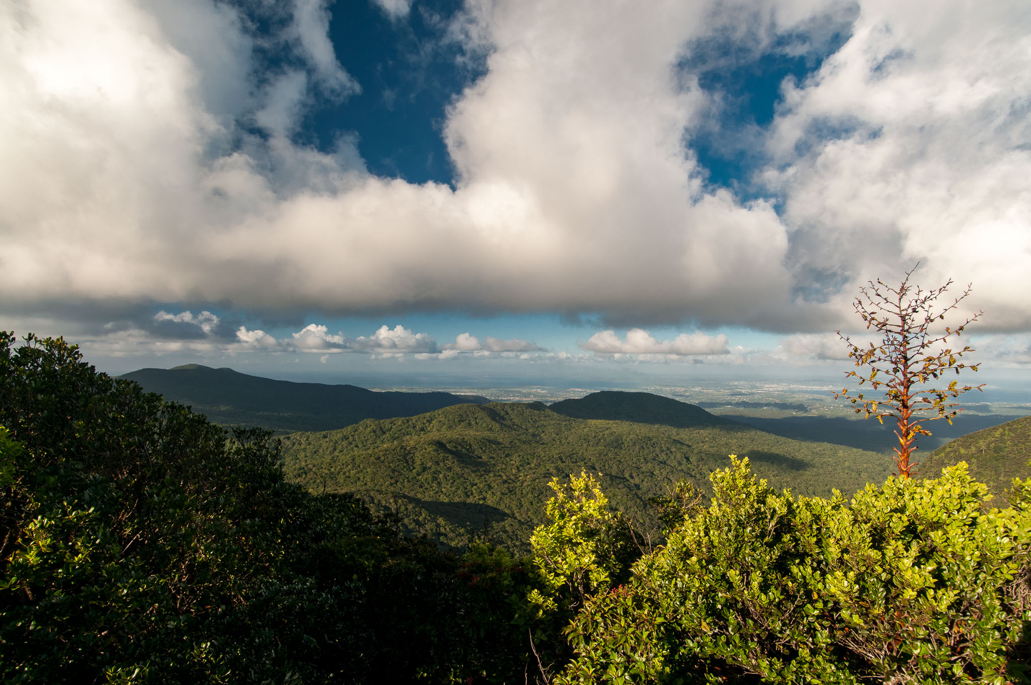 Guadeloupe - Auf dem "Col Des Mamelles"