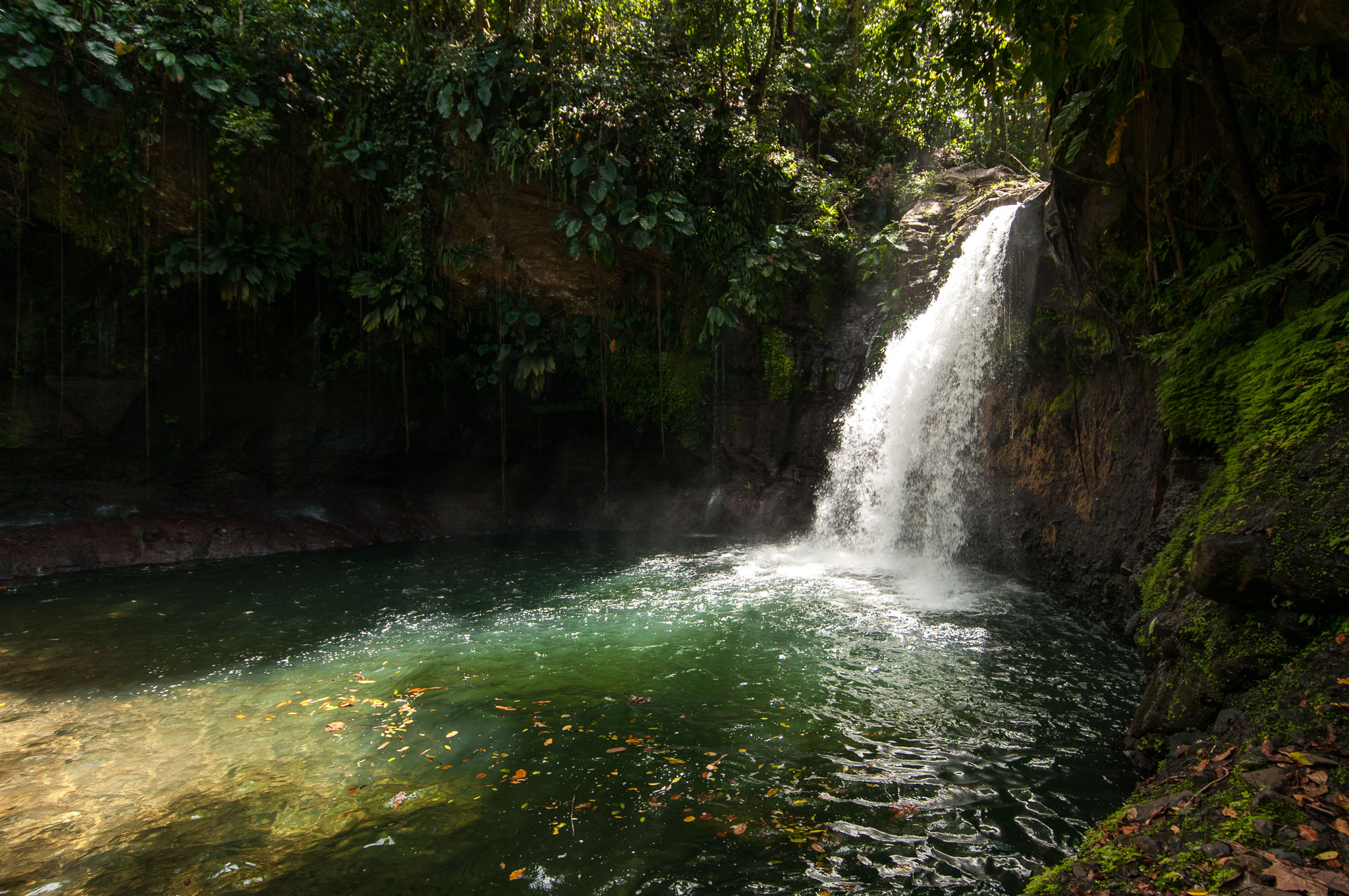 Guadeloupe - "Plage Cluny", "Cascade aux Ecrevisses" und "Saut de la Lézarde"
