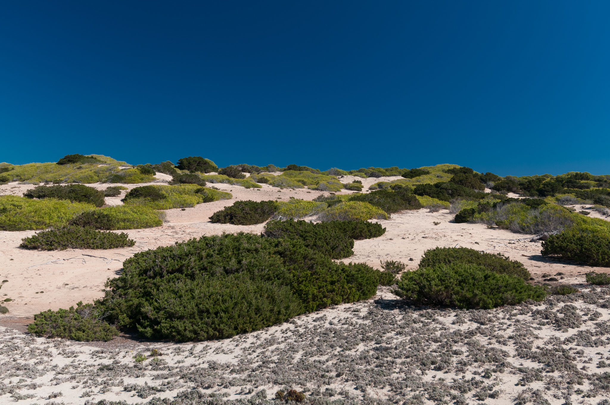 Dünen an der Playa Migjorn