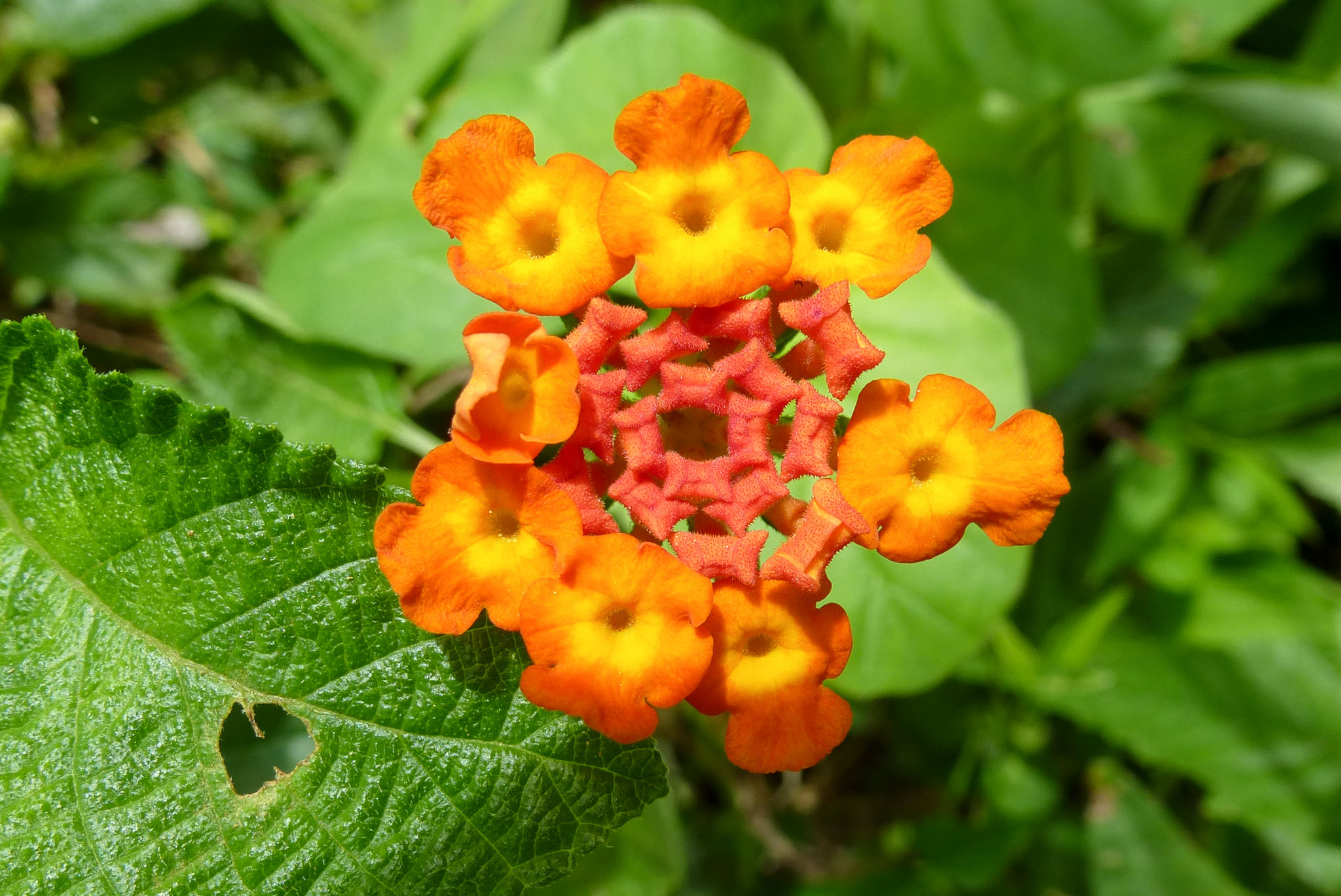 019
