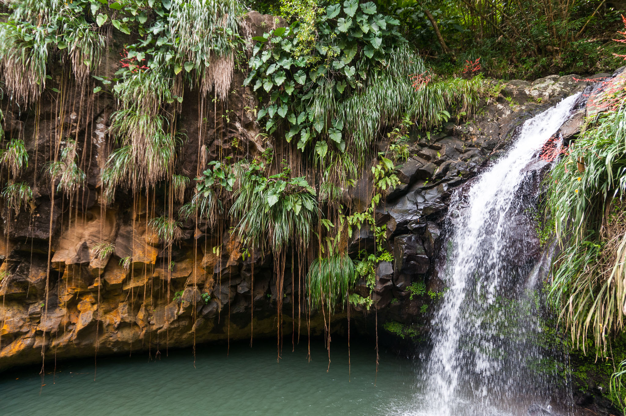 Annandale Falls