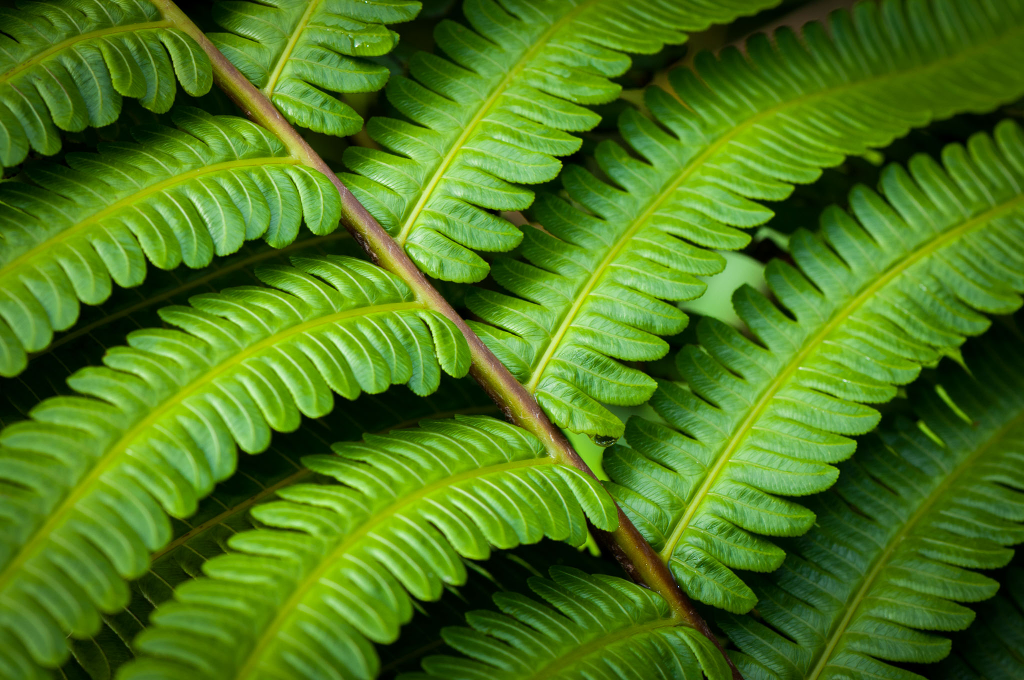 017