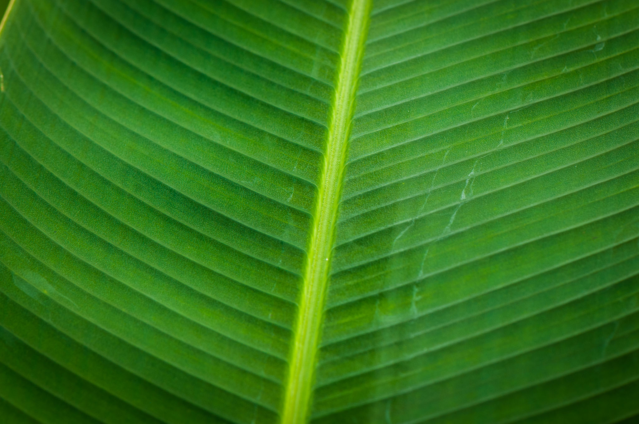 018