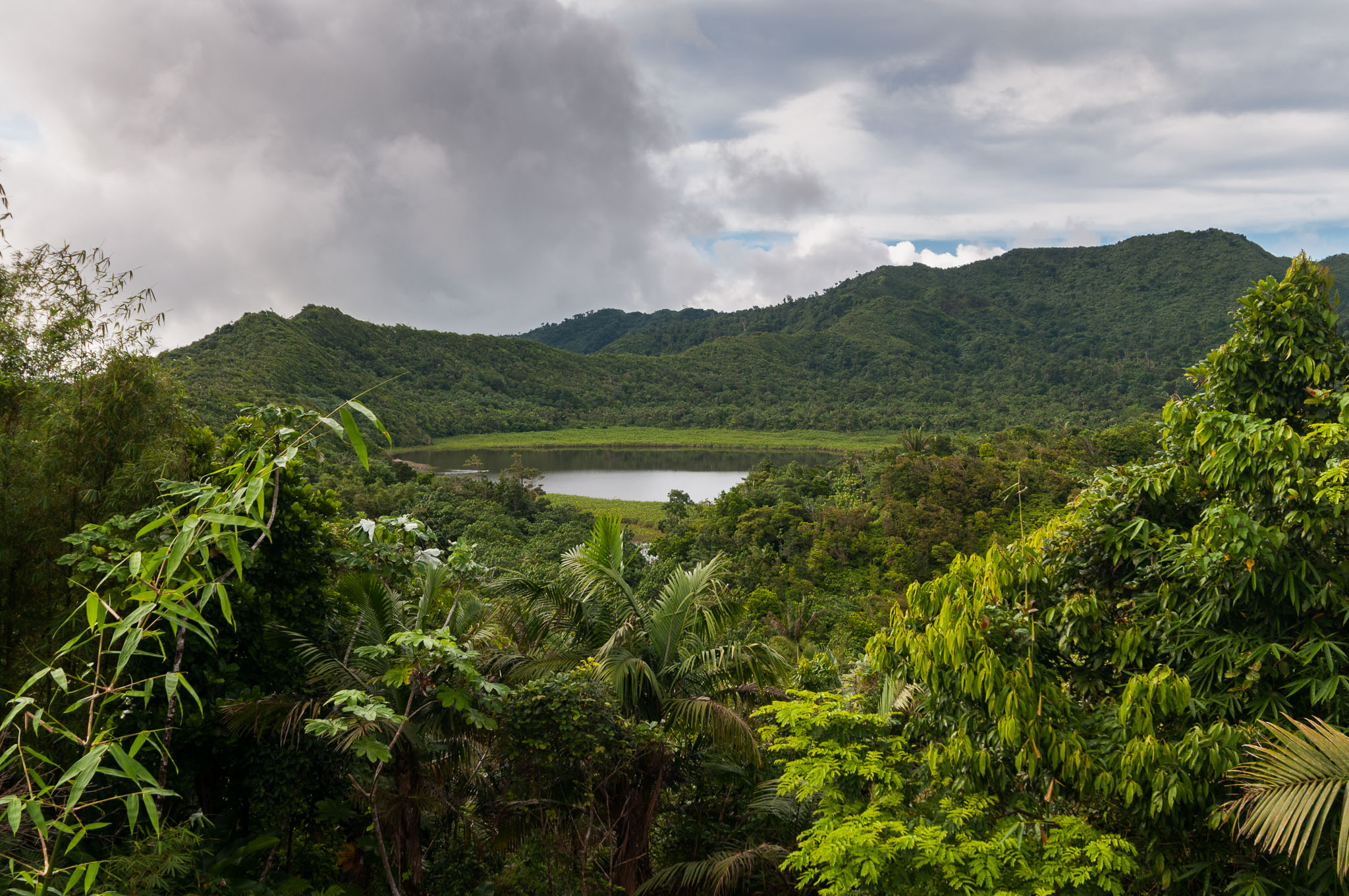 Grand Etang Lake