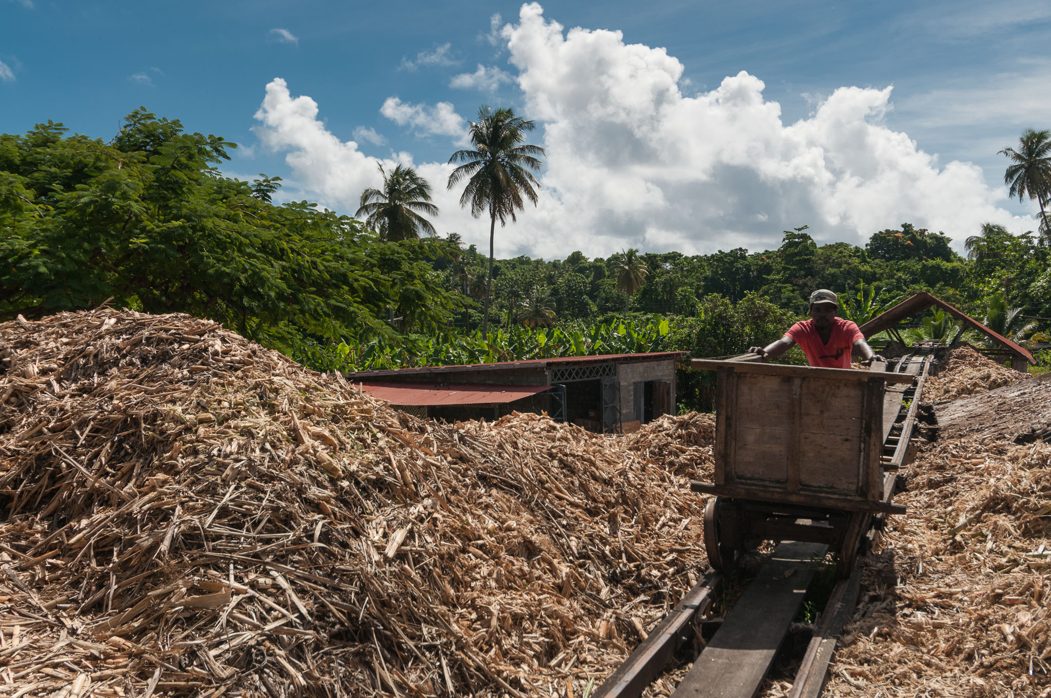 River Antoine Rum Distillery, St. Patrick