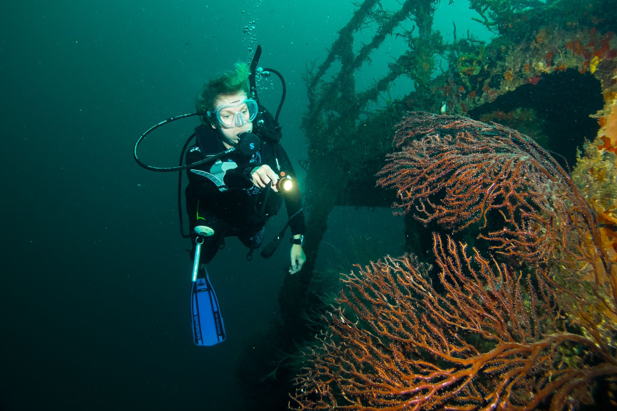 Tauchen mit Aquanauts Grenada