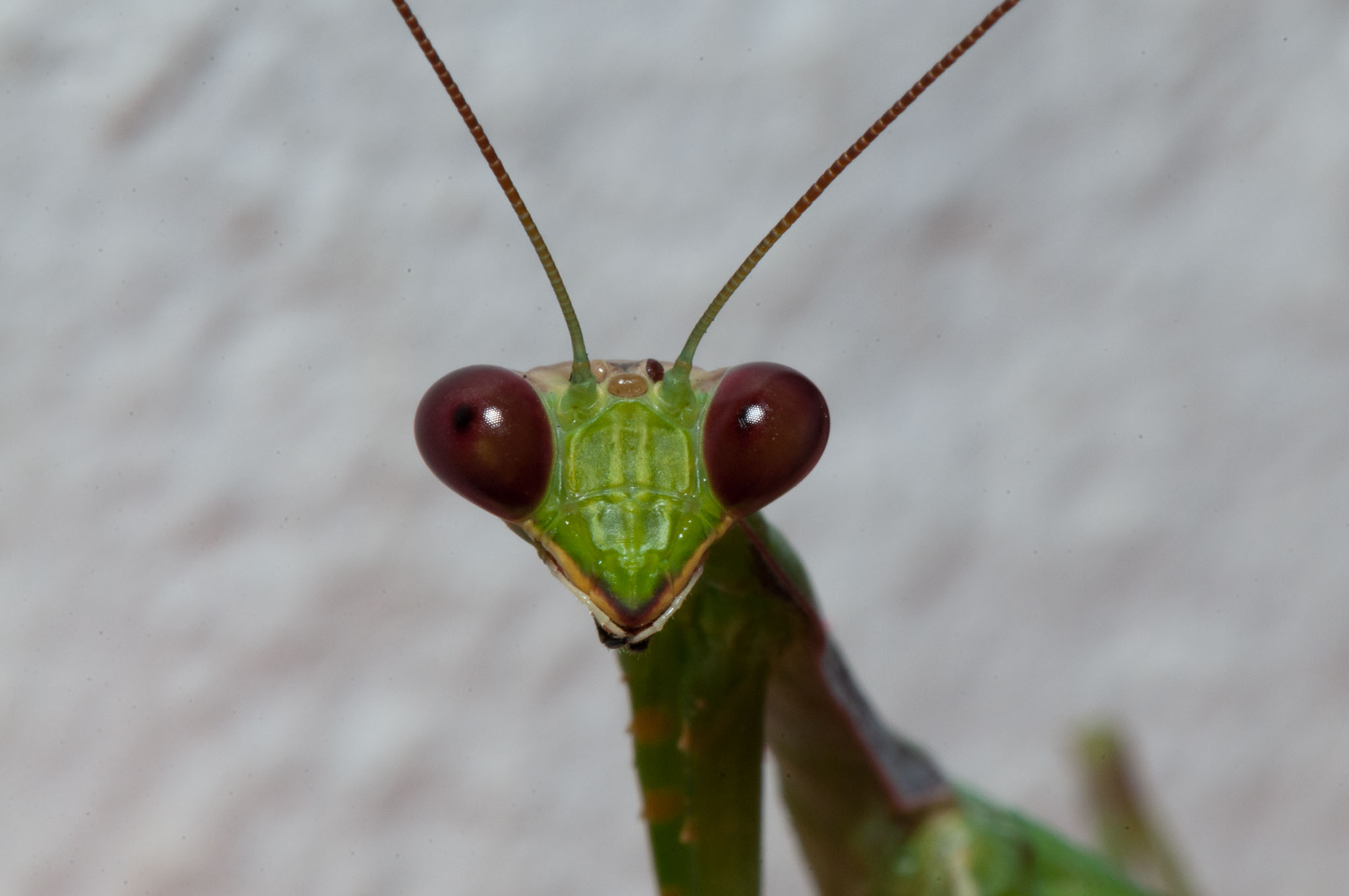 078