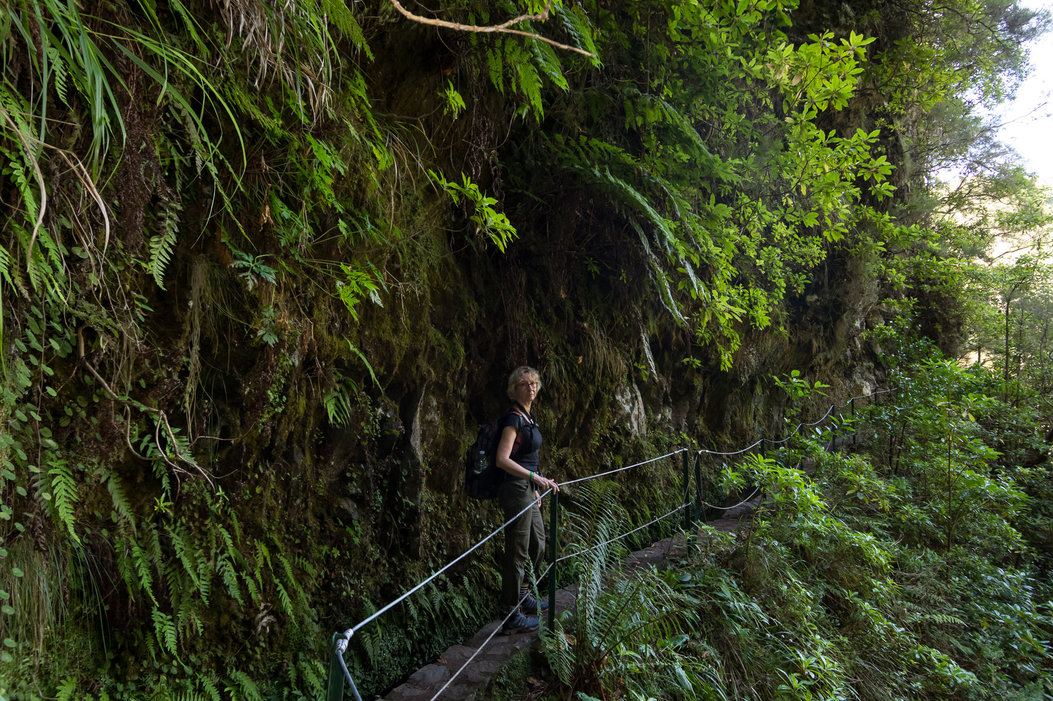 019
